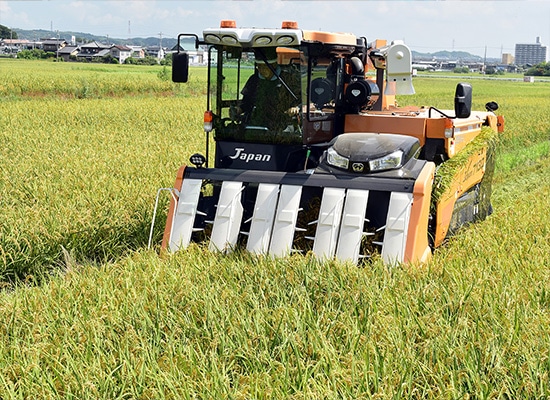 水田の全面管理・請負